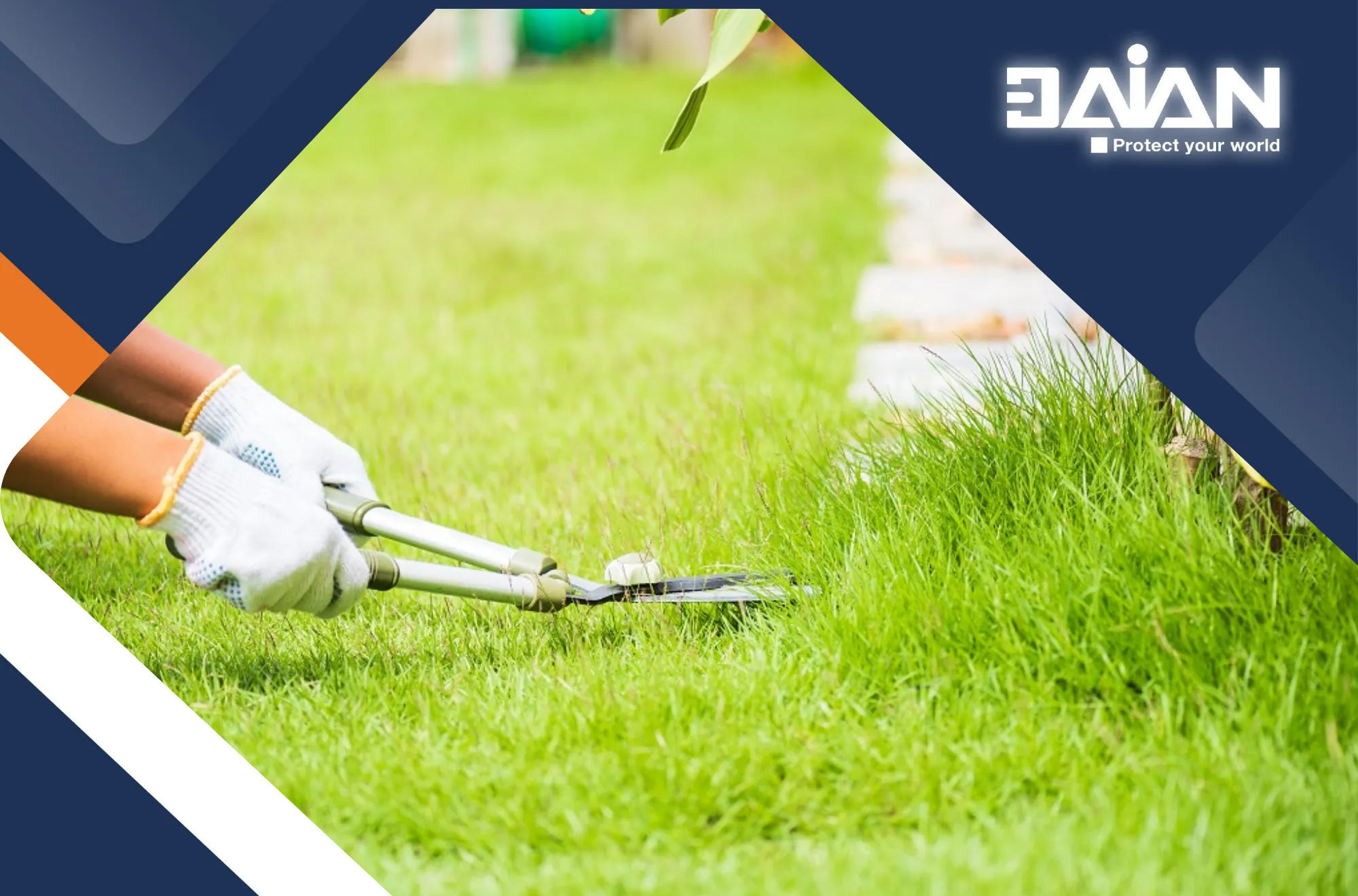 Landscape care